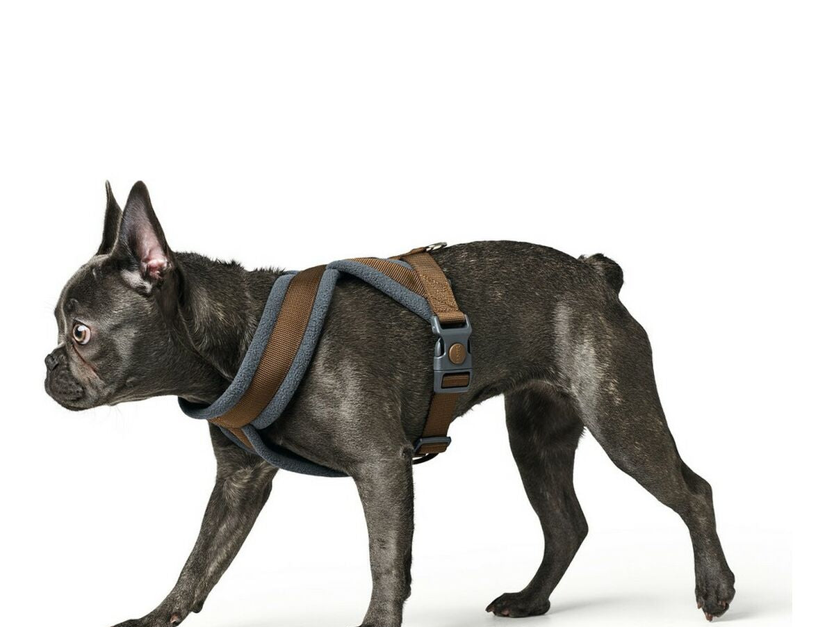 V11H46EAEFE8F6EF98BD6102ADFAD88ABA73R4073329P1