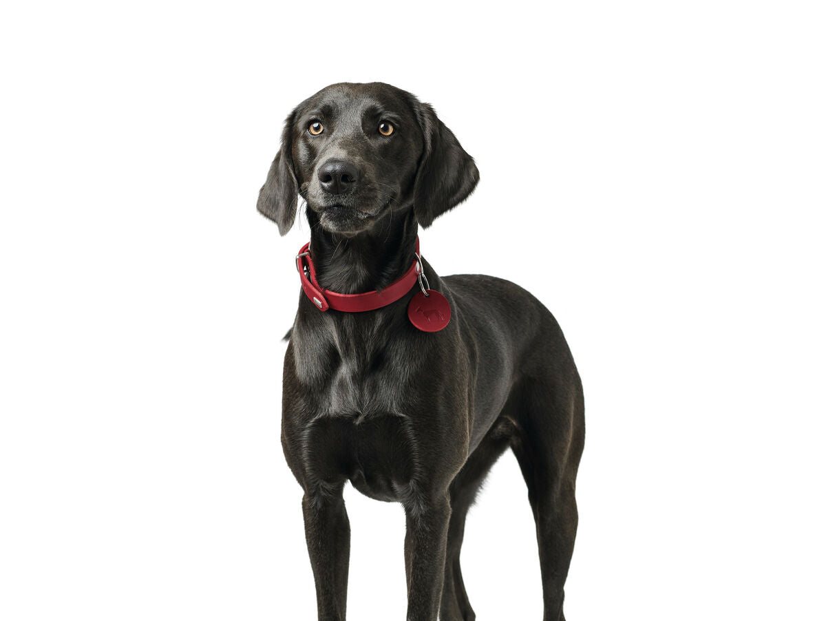 V9H280BE9C1F83DB33A49A5CBE2504D2DC0R6576973P4