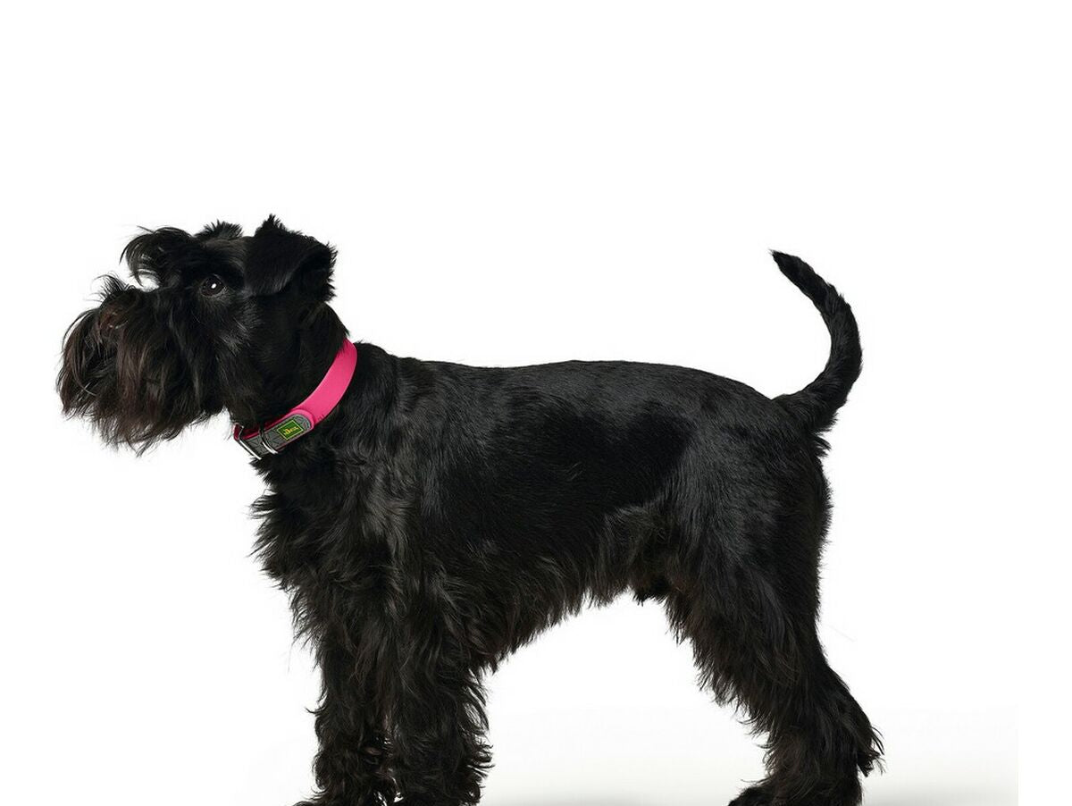 V10H64FD903631DBA39704F170C96A88FC23R4623393P2