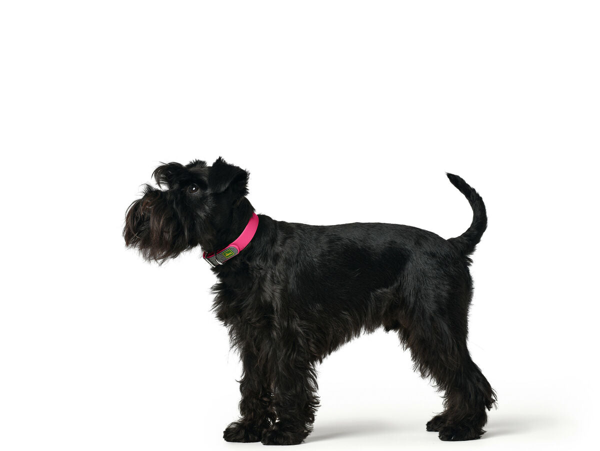 V8HD0E61C84BDE189C55FD0A382BE712AC5R3622786P2