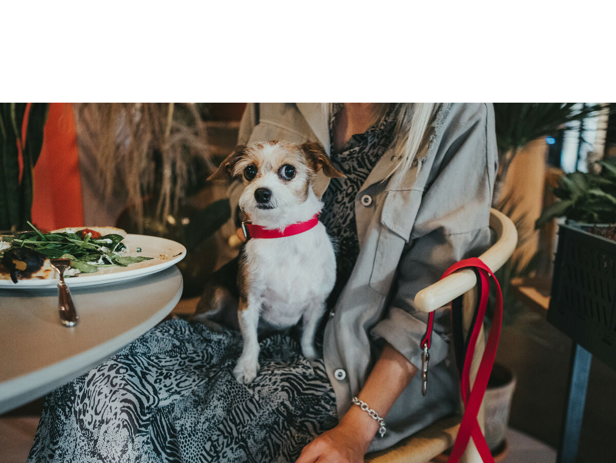 V8H2C55909309DBD7FA7F3383DAD4B5F7FFR3622791P4