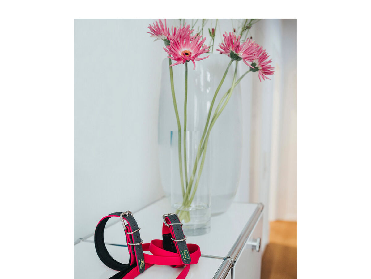 V10H486F4574E80DBAFA7CA83A248A27D497R2353249P2