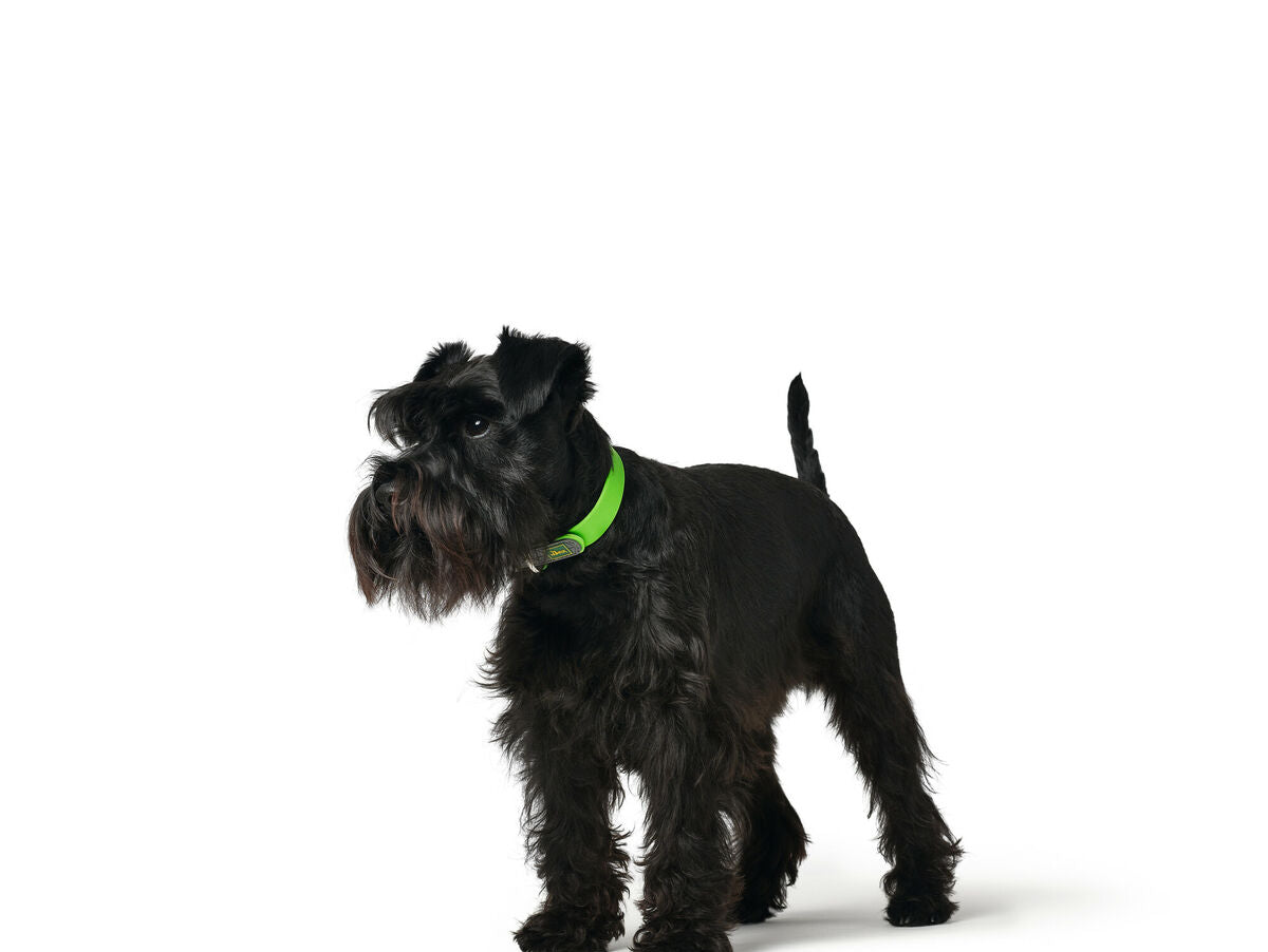 V8HA060BB58C2B894B87383A238A870B70AR3622779P3