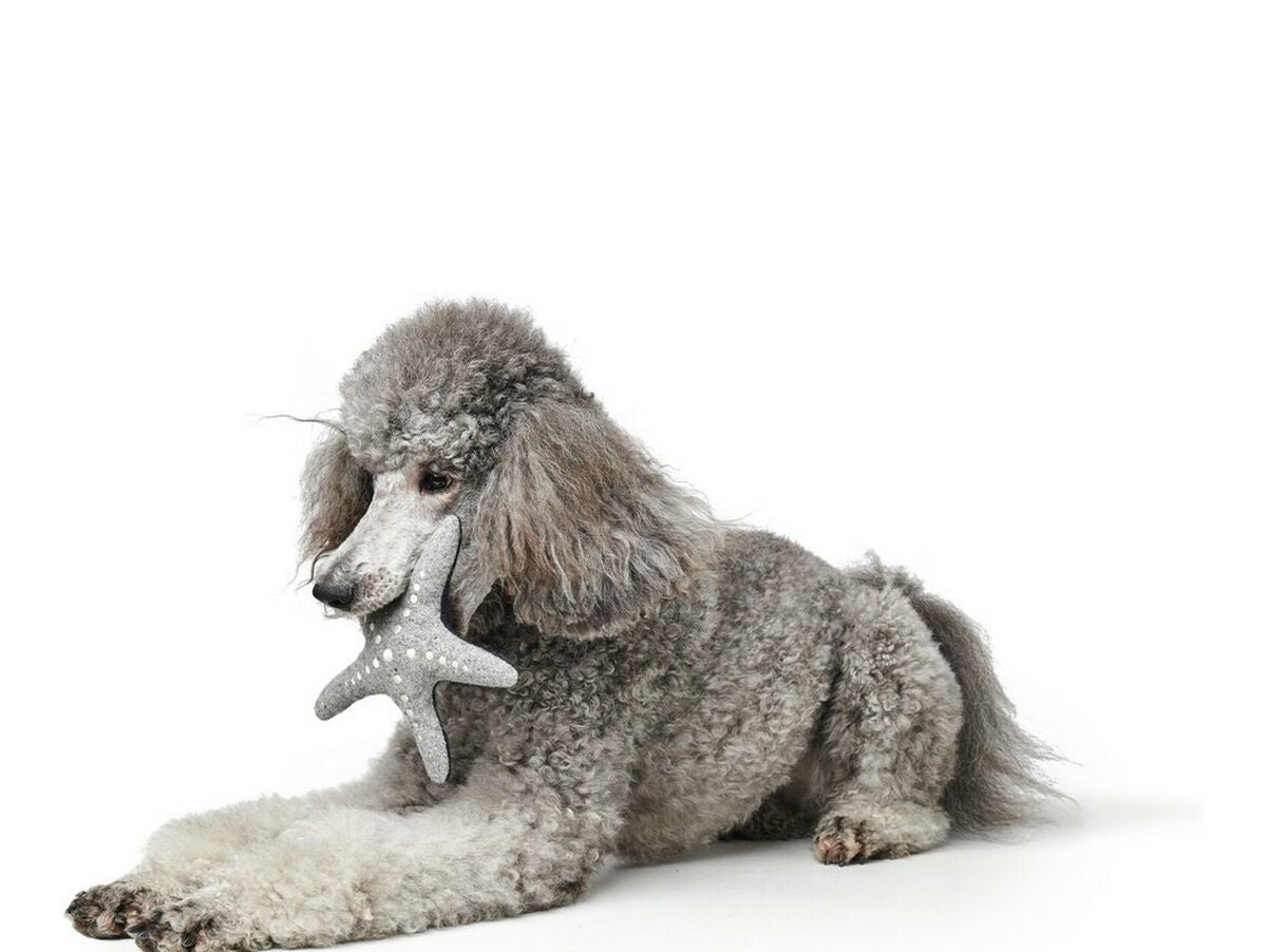 V13H5B2C85335D3953CACE41F9BC5116A6D6R5568136P4