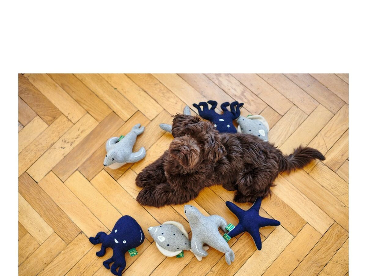 V13H4447686EC37BFC42DAB348291546813AR5568141P6