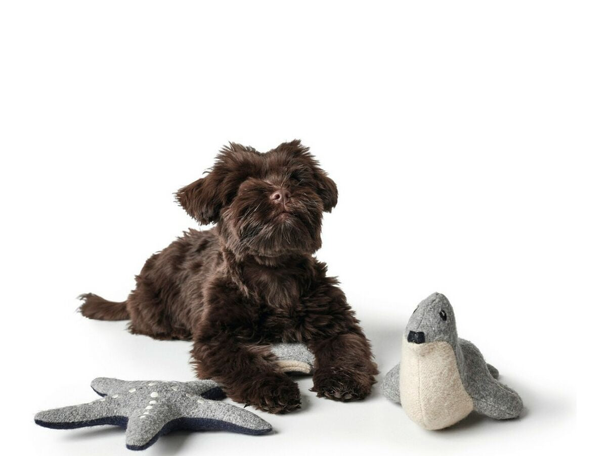 V12HC981B5E42CBF1512DED411458C45D4D6R5568105P4