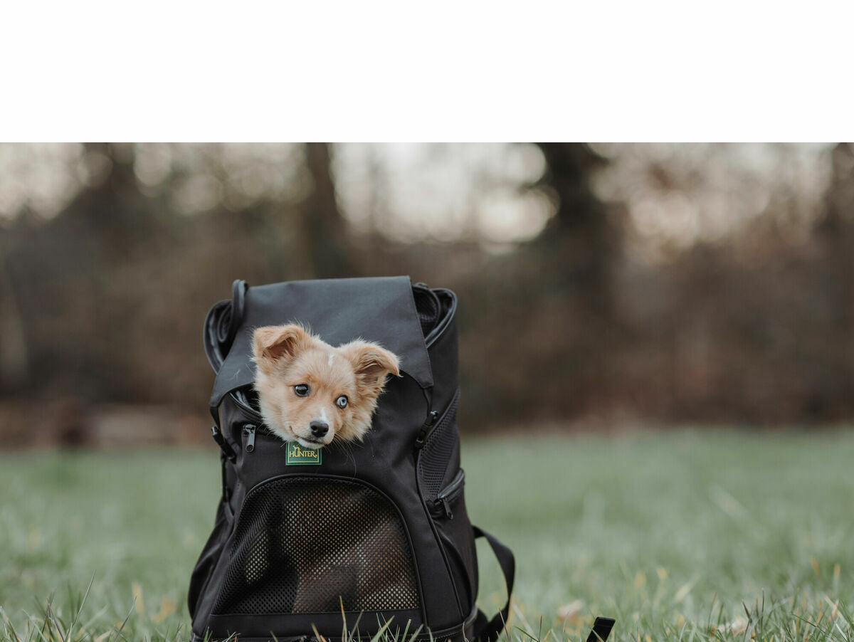 V4H641E43DCA3D83C9DF09978A7FFBFDEE7R5337601P4