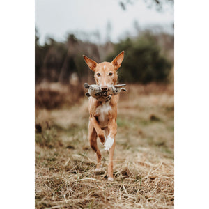 V7HAF8B8457E4D379495FEBC706FF9386E4R5333700P4