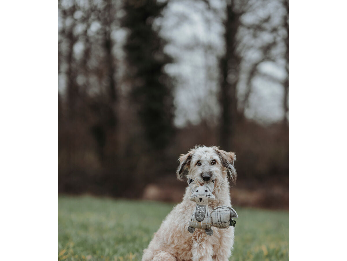 V7H8CEFEE9B0ECC7FD288756BF6320589FDR5333702P5