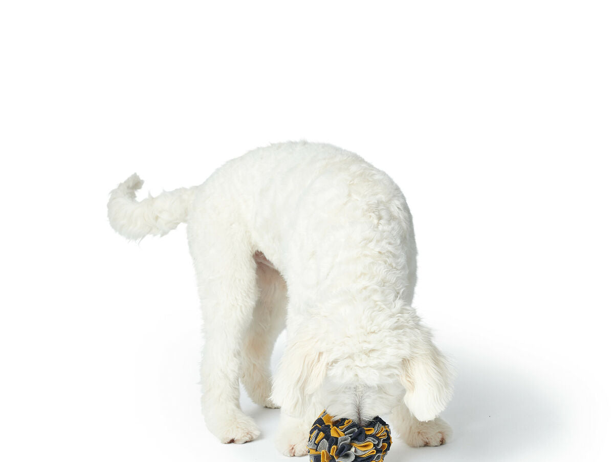 V6H67F62255FFFC9FB7D72F853DAEC91921R5333594P2