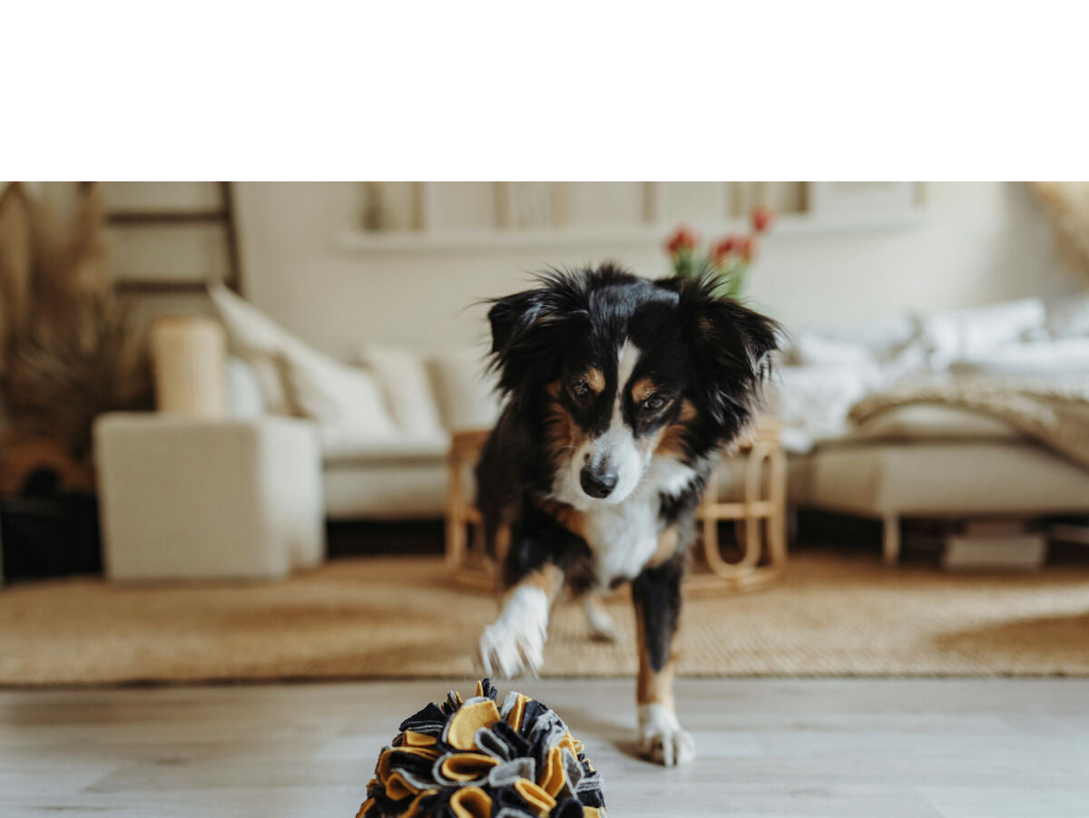 V6H73BC4424805C3F3535FC60FC6562B485R5333595P3