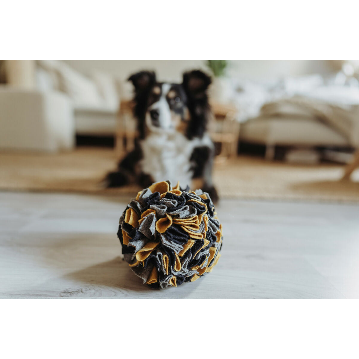 V4HFA488BB3705DCA5315F700B18D87F4DFR5333596P4