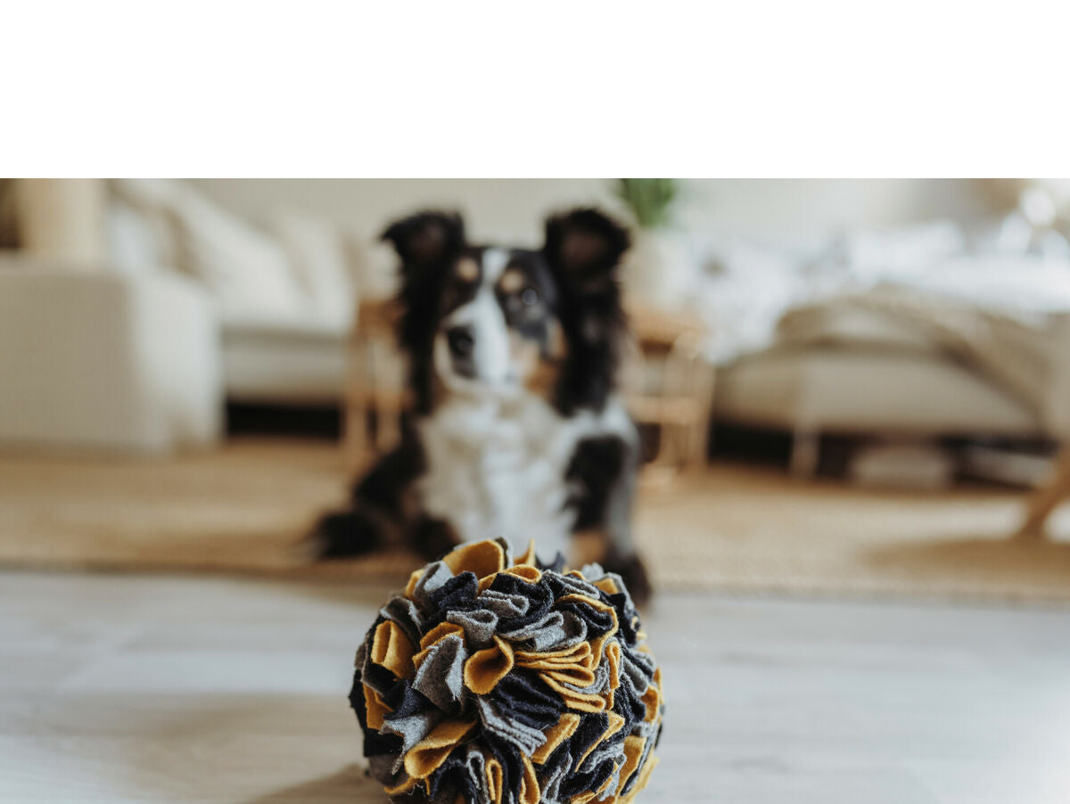 V6HFA488BB3705DCA5315F700B18D87F4DFR5333596P4