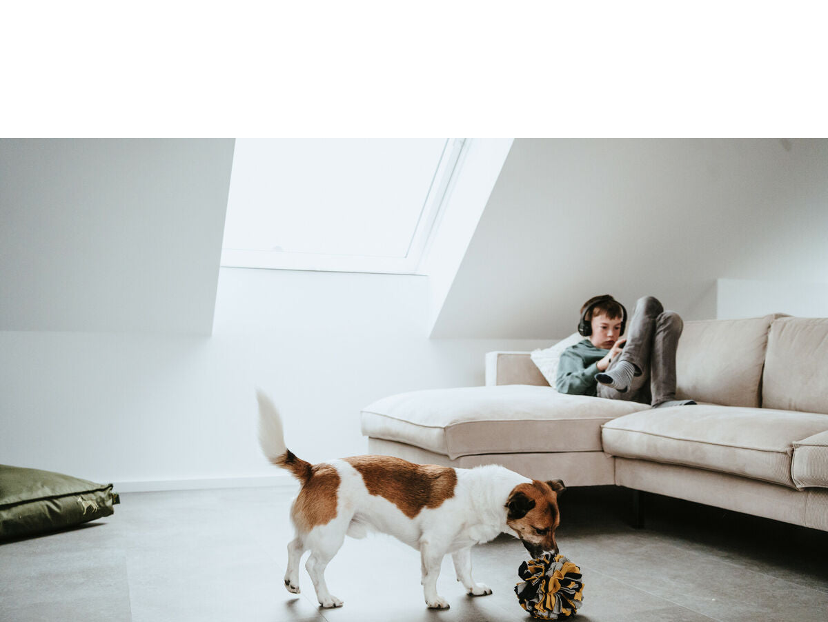 V6HEE563DB11E64FCB442CEE5D393741A75R5333597P5