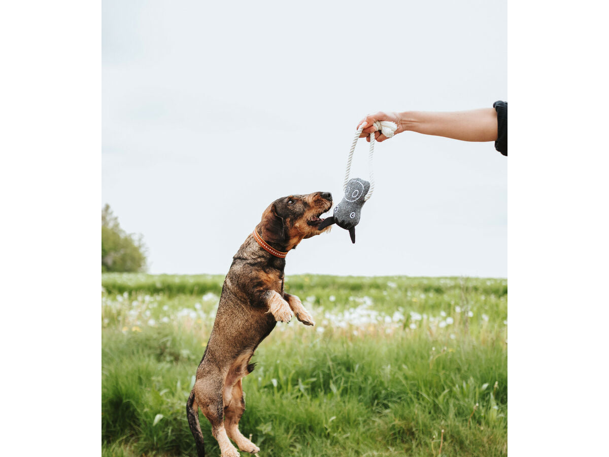 V5HD02842968CB81FCC1D78484E79519A1CR5574760P3