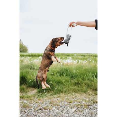 V5H872E2024DF96A1639DA7F2DF0A72BA0AR5574806P2