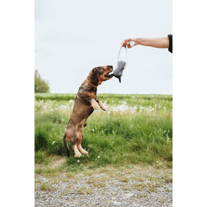 V3H872E2024DF96A1639DA7F2DF0A72BA0AR5574806P2