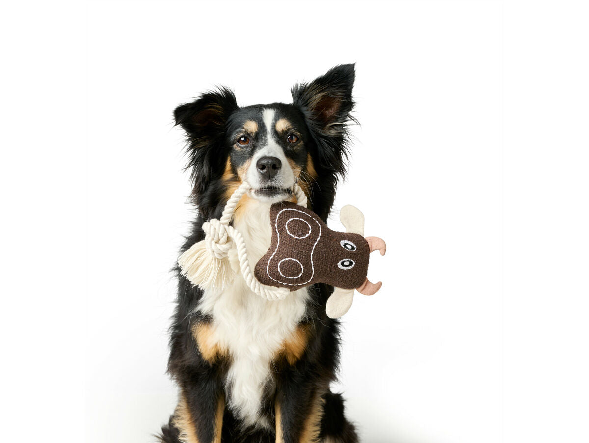 V5HB9EA7E64D27631CAACDD4A61650CAFD7R5574809P3