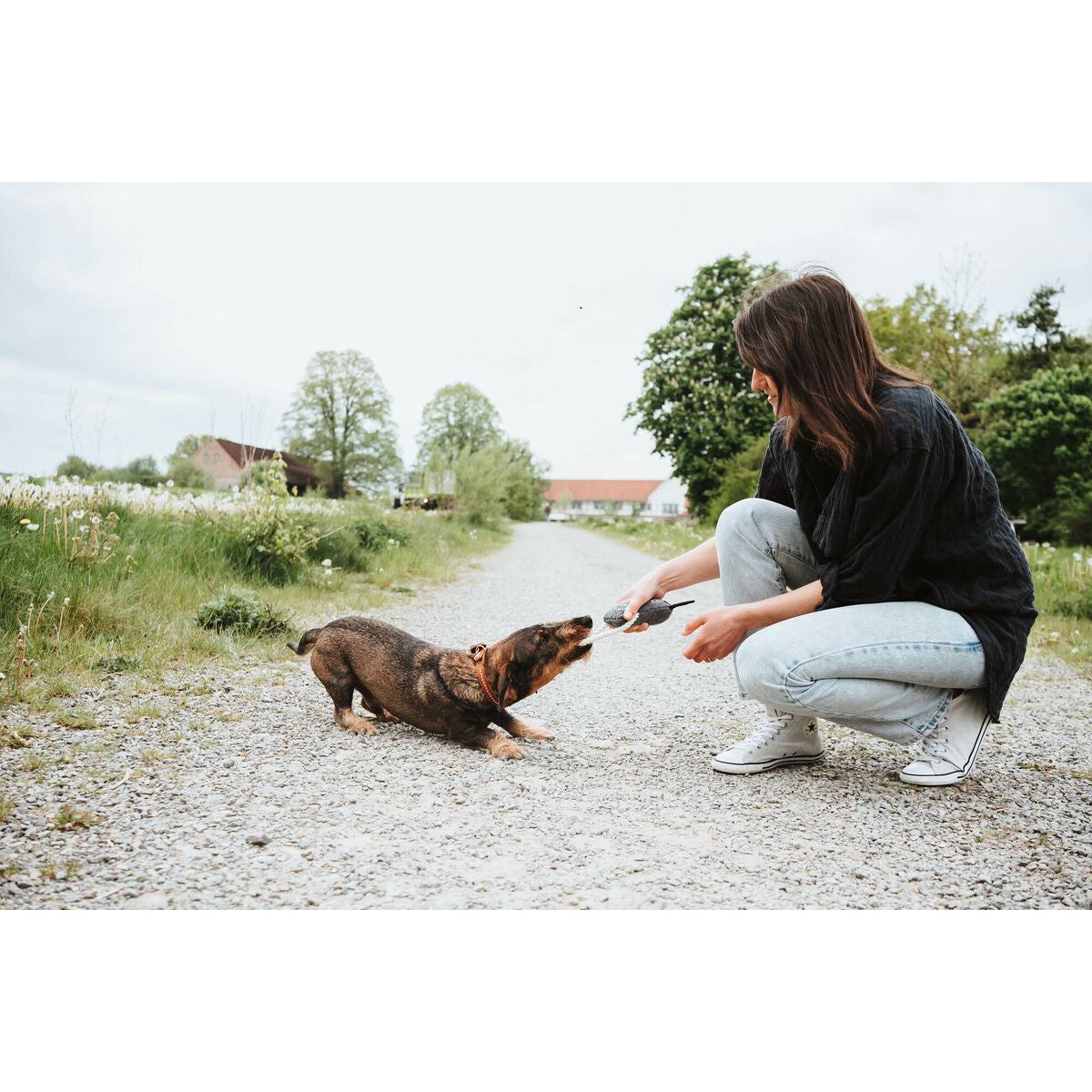 V5HE83D4BD6206717DE06B521DB3D7E1FFCR5574817P5