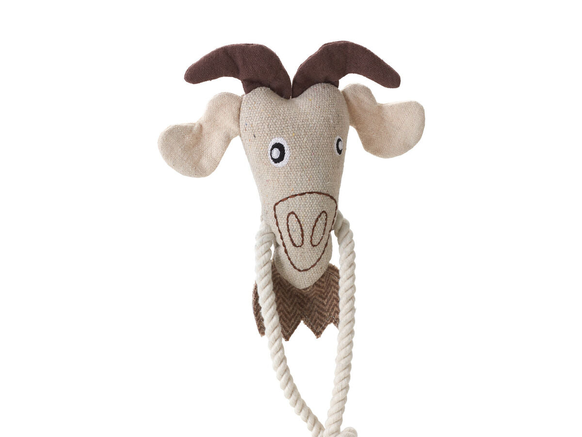 V5H45AF343E6F0C02445C0433C54FFFC77DR5574762P1