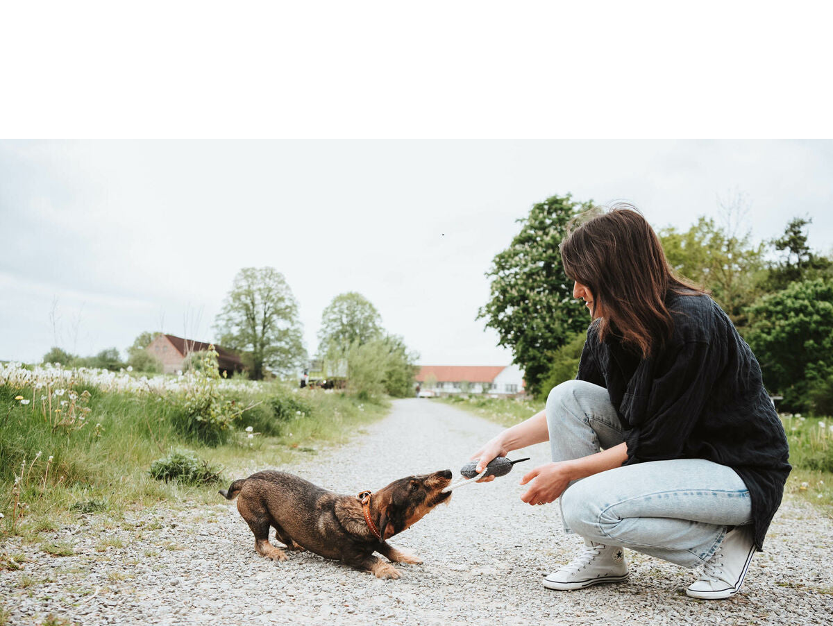 V5H1C88DF9CC01B3B913138E6986AA22FBER5574734P2