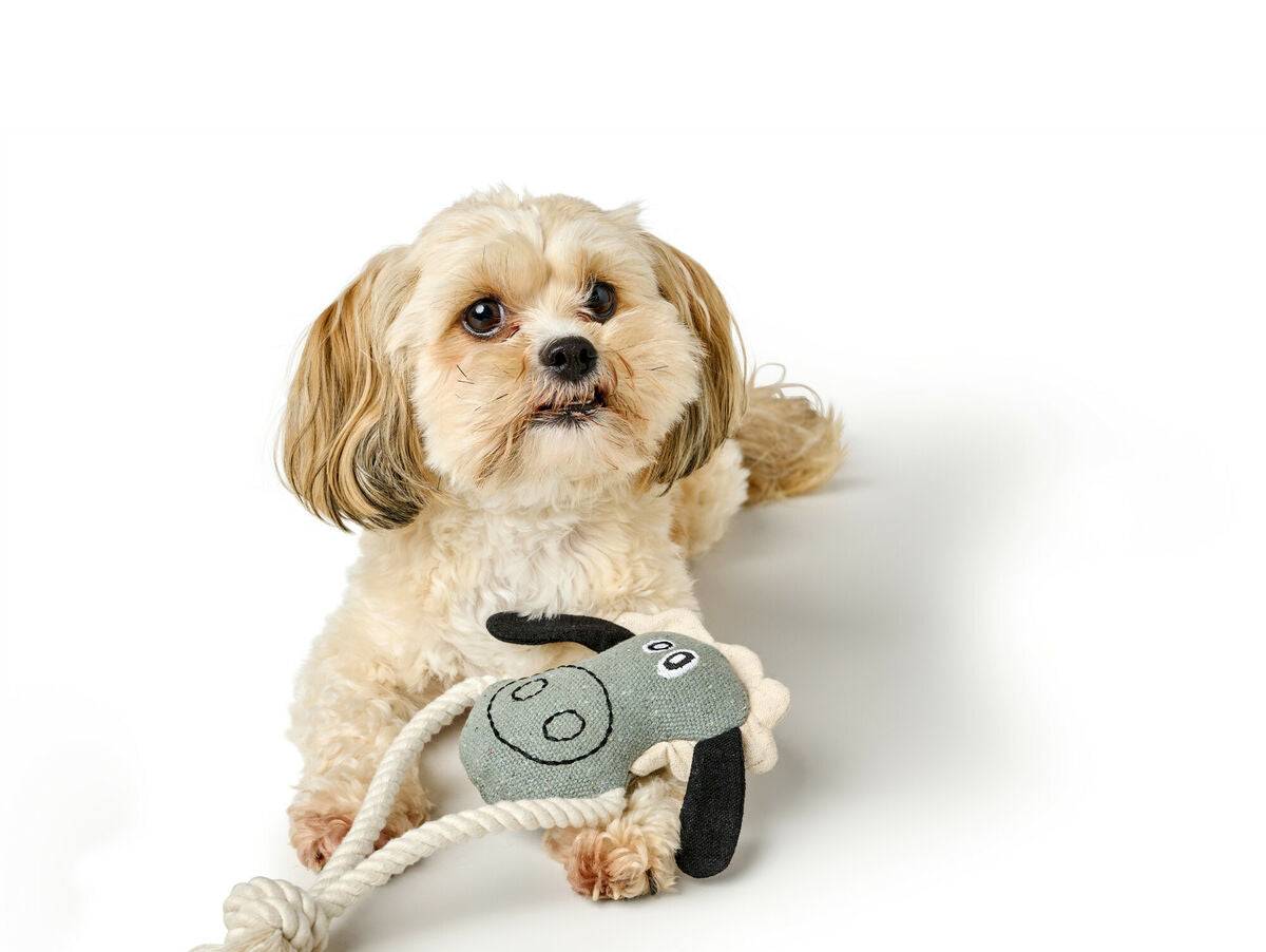 V5H992796FB7372658703E019837B6A2E1CR5574741P5