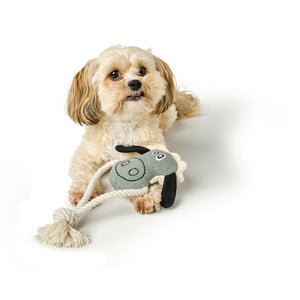 V5H992796FB7372658703E019837B6A2E1CR5574741P5