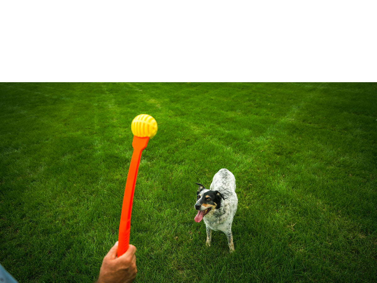 V6HEAB48ADD5D1D04D106D6942355B48540R5333733P3