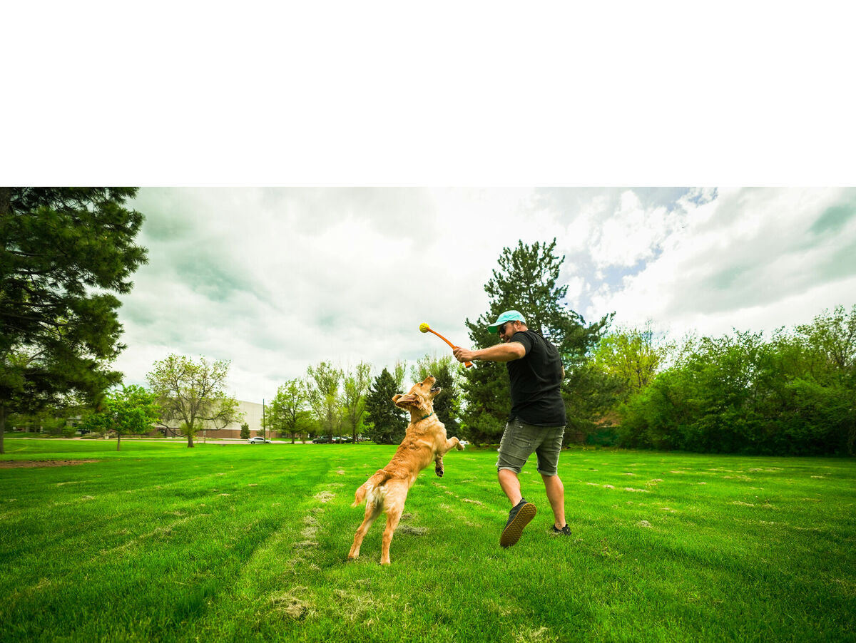 V6H89CDD0D4981F36CD8E639F7E4776CDC4R5333734P4