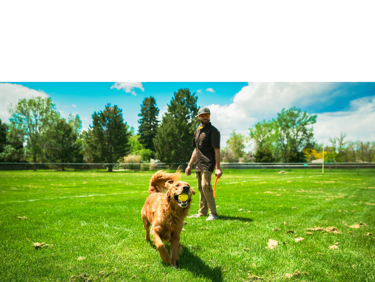 V6H21214EE3861C38F34D85F46C0CD60825R5333735P5