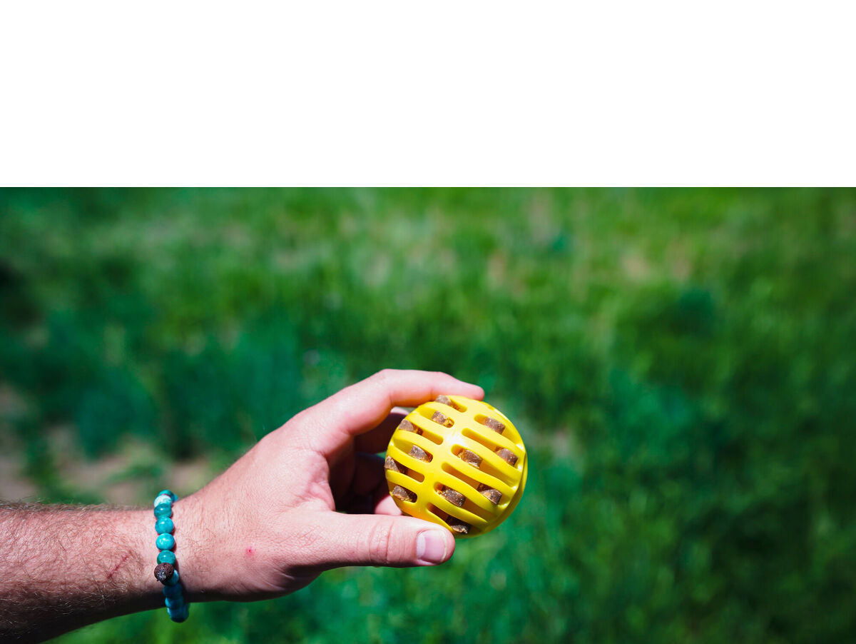 V6H0F9D489519488CB8ADB388FDA16E2D4DR5333737P6