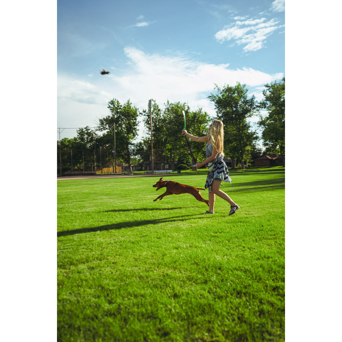 V4HBA1138760C29CBA0393E13926BD63E9AR5333753P6