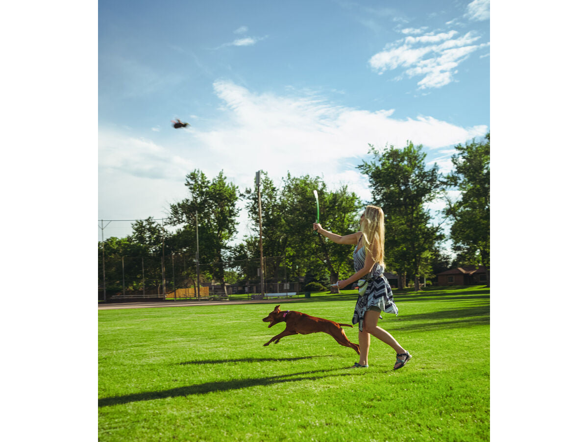 V6HBA1138760C29CBA0393E13926BD63E9AR5333753P6