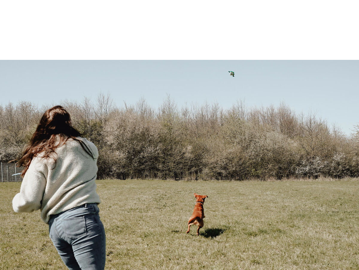 V6H4993B7F11AE04677988EEB30E3839F49R5333765P7