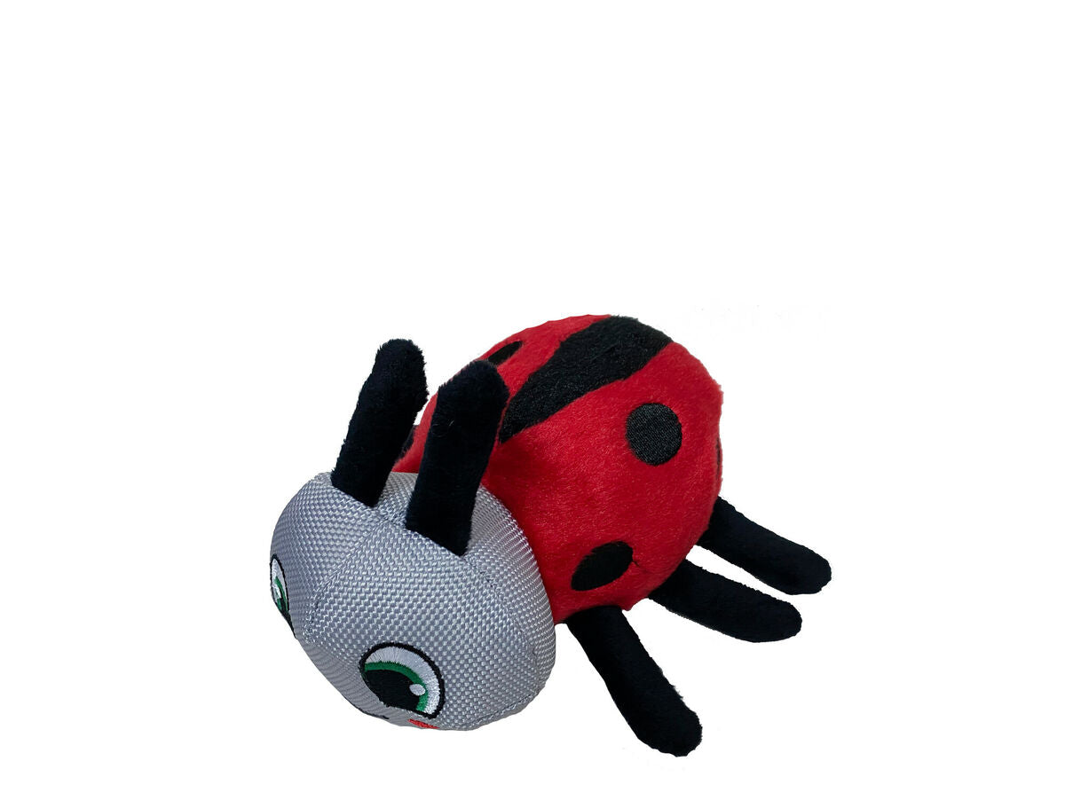 V6HD0001452CBF3F4448E072594B734C2B5R5333725P3