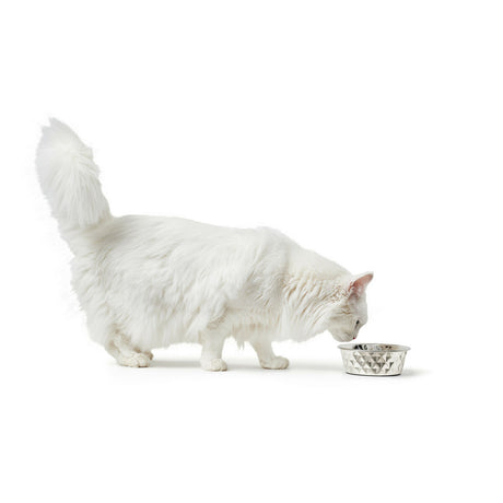 V5H28340A6A63423D240E207EE967F22366R4438064P4