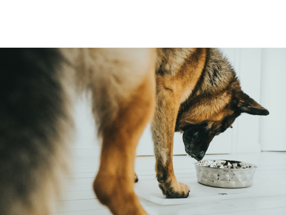 V7HB6BD46C6FD46C767F65CB9843BA411C0R4438067P5