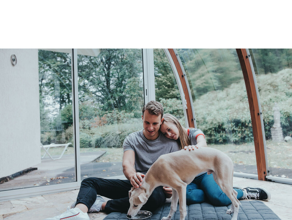 V7H72828D6ED7F3FDBDAAE7EBA95E076B39R4438069P6