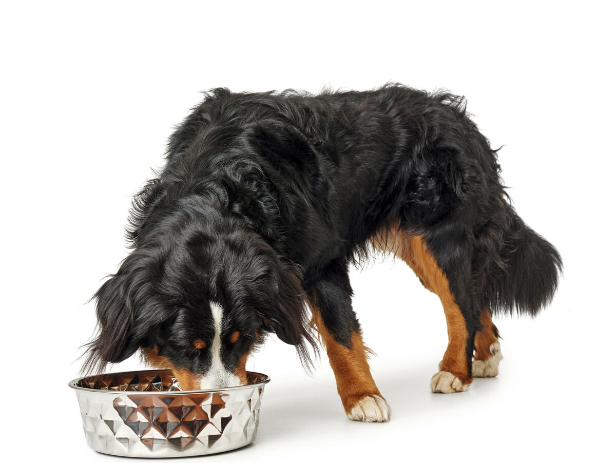 V7H8D61D2EC2C8EFFEBCBD48C56208EAAD2R4438157P3