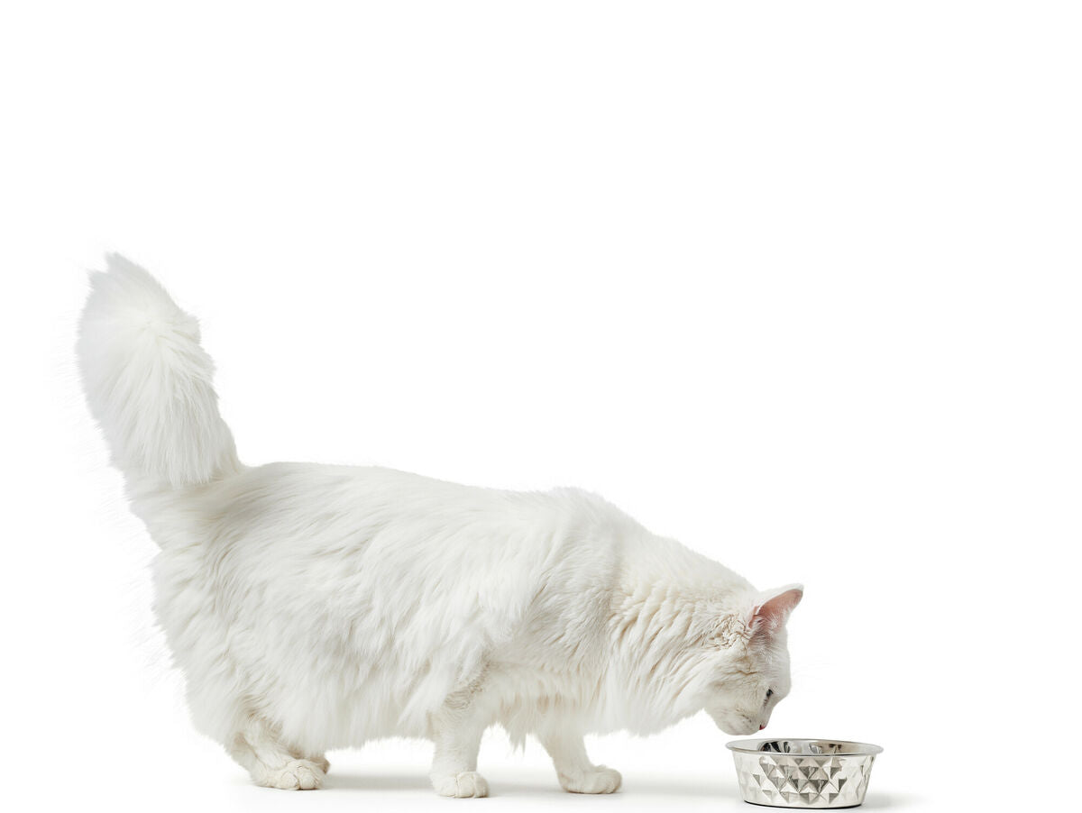 V7H2B793F1358AD786E095C0D25A1F71B97R4438166P4