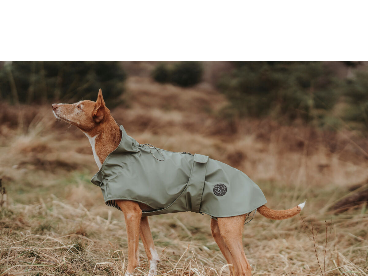 V6HB4B87D857CB2D55543C39B64D89B3845R4393528P5