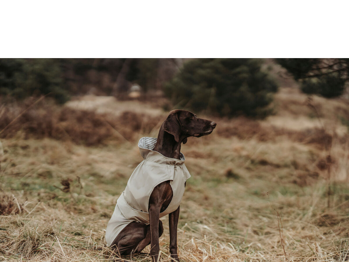 V6H0F865652C4E01E94C5C2FBF91FCFC781R4393566P5