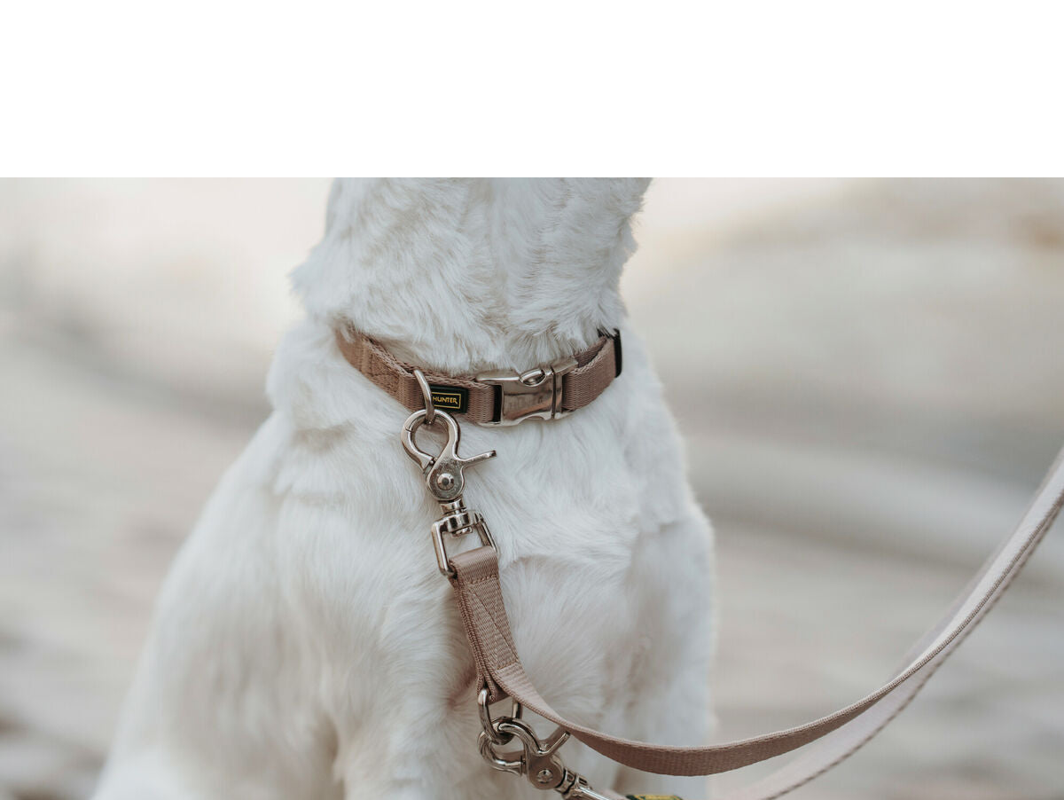 V8H6EEB866897BB4A0F1451E8B5664DF95BR6574294P4