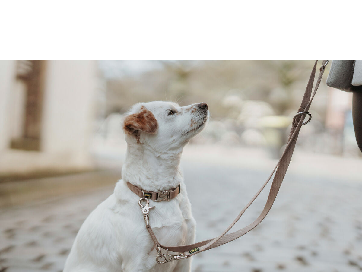 V5H082ACD1EDA7ADAC26BDA766CA51582BDR5582608P4