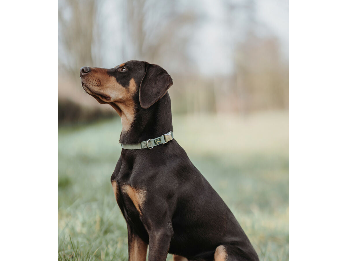 V8H0367B6EABECFD830E2B7945F067648E6R6577331P1