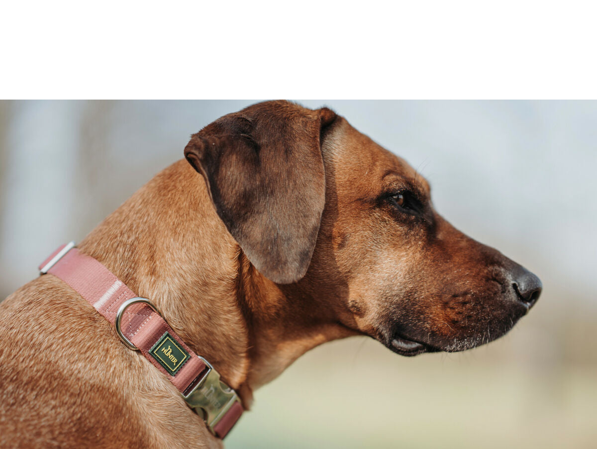 V7H7AE5464A1B94C80B4A23E95690258F97R6577099P3