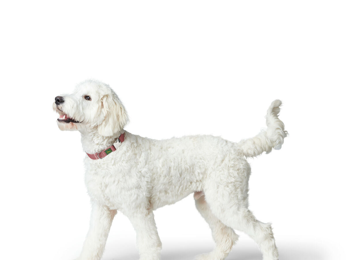 V8HE266C06C660EE61FA8FE5677BA87D822R6576126P3