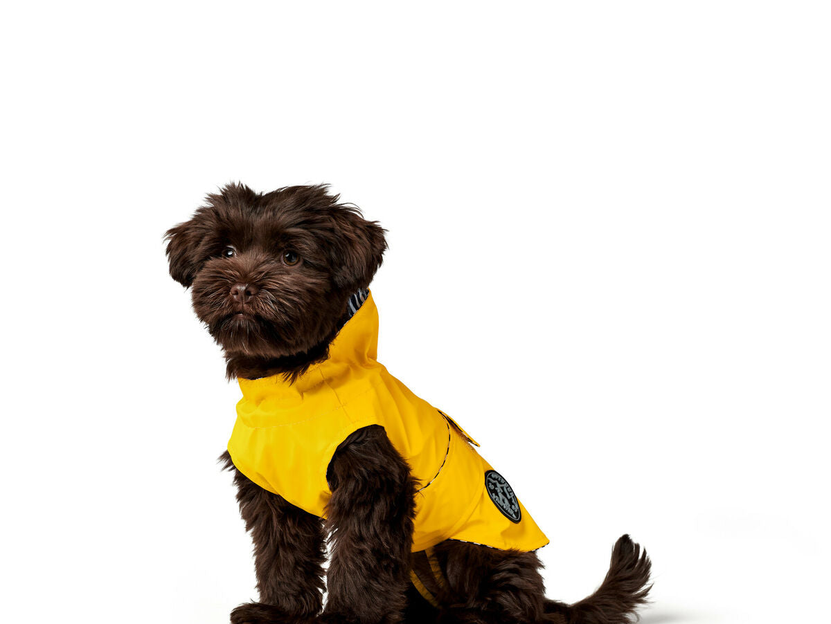 V6H8C0299FC90CF39D9EC4A02E2437165C1R4393607P4