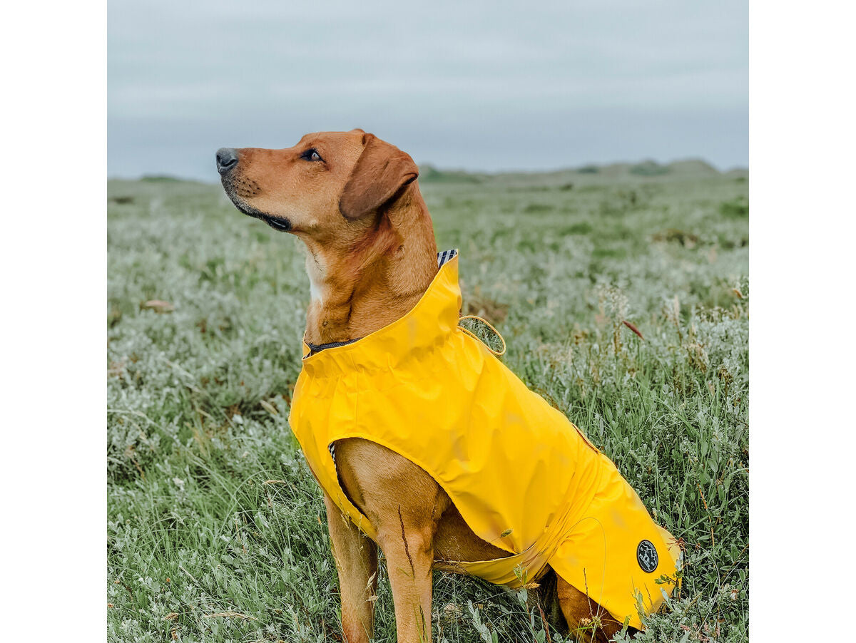 V6H8056424B2C9D4B66A16AD9F9CE7EC950R4393602P7