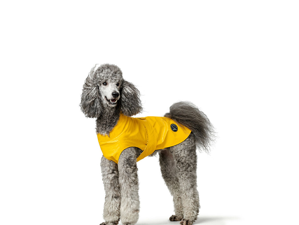 V6H6CB6D25D19BCEF72AC5B93CE84530298R4393591P1